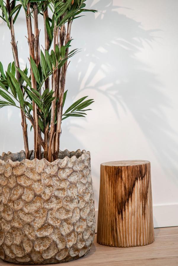 Yucca Beachhouse Zandvoort Dış mekan fotoğraf
