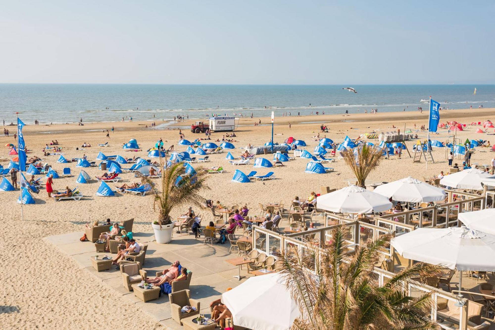Yucca Beachhouse Zandvoort Dış mekan fotoğraf
