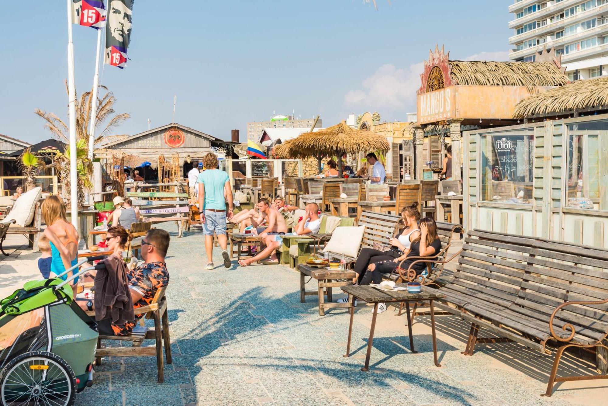 Yucca Beachhouse Zandvoort Dış mekan fotoğraf